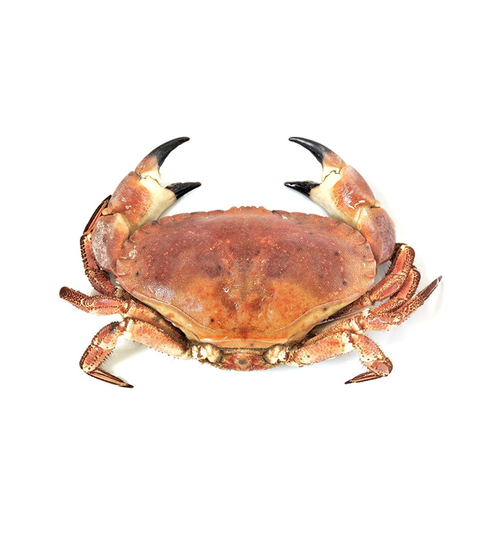 vg-sf-frshs-3.jpg Cornish Crab (Whole) - Image 1